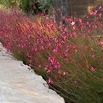 Villa Lamiaterra Dsc - Lamia With Private Pool Ostuni