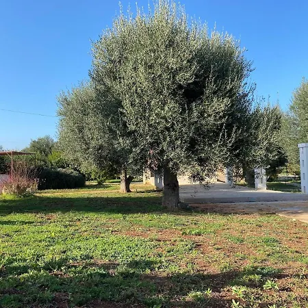 Lamiaterra Dsc - Lamia With Private Pool Ostuni